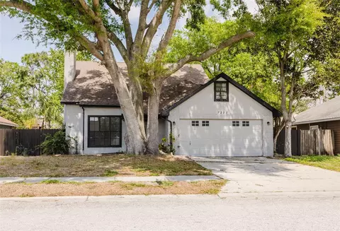 7227 Otter Creek Dr, New Port Richey, FL 34655