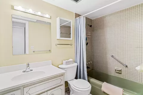 Bath - 147 Bluff View Dr #206, Belleair Bluffs, FL 33770 photo 3 of 4
