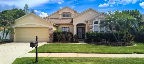 8710 Torchwood Dr, Trinity, FL 34655
