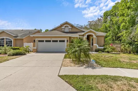 1889 Wood Owl St, Tarpon Springs, FL 34689