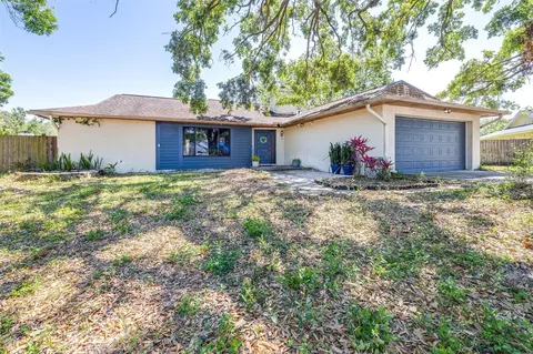 12503 Twisted Oak Dr, Tampa, FL 33624