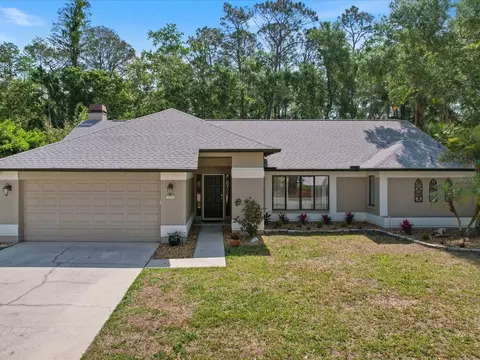 3171 Roxmere Dr, Palm Harbor, FL 34685
