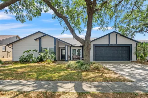 2554 Brimhollow Dr, Valrico, FL 33596