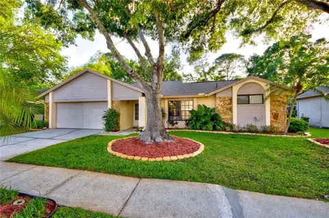 12024 Stone Crossing Cir, Tampa, FL 33635