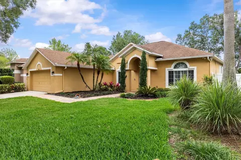 19026 Dove Creek Dr, Tampa, FL 33647