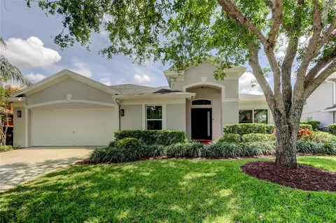 10357 Abbotsford Dr, Tampa, FL 33626