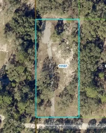 11103 Snow Lark Ave, Weeki Wachee, FL 34614
