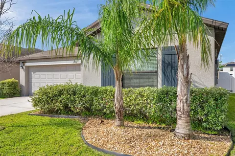4201 Globe Thistle Dr, Tampa, FL 33619