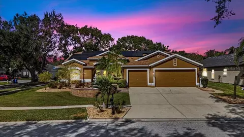 4508 Compass Oaks Dr, Valrico, FL 33596