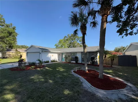 5814 Silver Moon Ave, Tampa, FL 33625