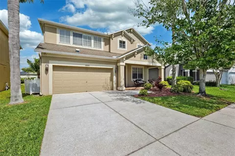 2800 Flagler Ct, Trinity, FL 34655