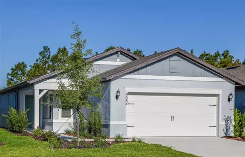 9084 Wildlight Trl, Wildwood, FL 34785