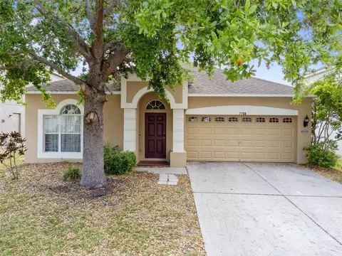 7708 Atwood Dr, Wesley Chapel, FL 33545