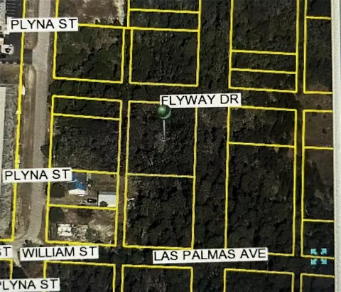 Las Palmas Avenue, Spring Hill, FL 34606