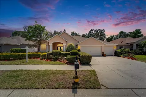 2515 Centennial Falcon Dr, Valrico, FL 33596