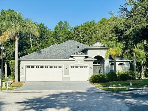 8202 Pinewood Run Ct, Tampa, FL 33647