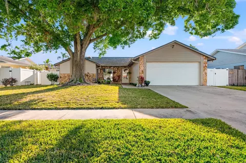 15703 Bovine Pl, Tampa, FL 33624