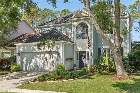 17712 Long Ridge Rd, Tampa, FL 33647