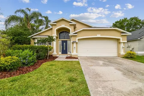 10223 Charleston Corner Rd, Tampa, FL 33635