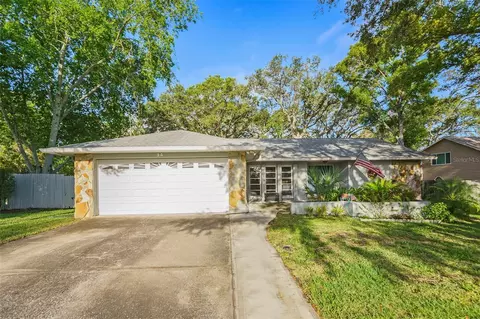 14 Idlewilde Dr, Safety Harbor, FL 34695