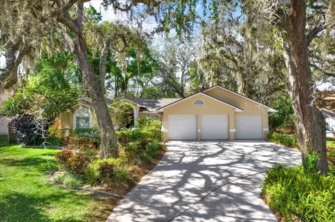 1330 Waterwood Dr, Lutz, FL 33559