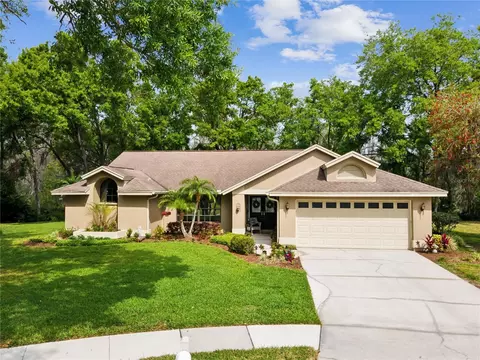 13806 Sumac Pl, Tampa, FL 33625