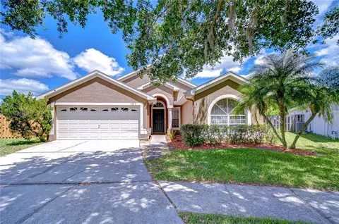 4503 Lace Cascade Ct, Lutz, FL 33558