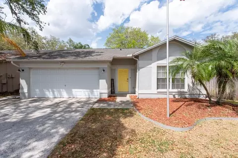 2604 Shilo Ct, Valrico, FL 33596