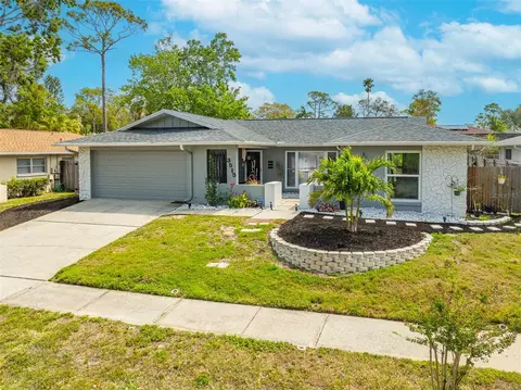3515 Glossy Ibis Ct, Palm Harbor, FL 34683