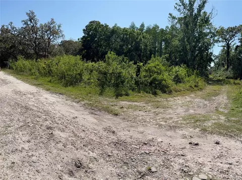 Elza Street, New Port Richey, FL 34654