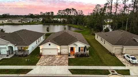 23243 Scaglione Dr, Lutz, FL 33549