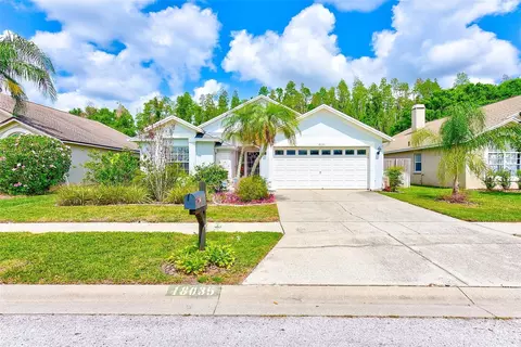 18035 Palm Breeze Dr, Tampa, FL 33647