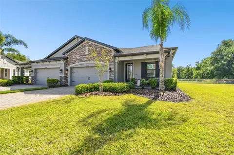19325 Hawk Valley Dr, Tampa, FL 33647