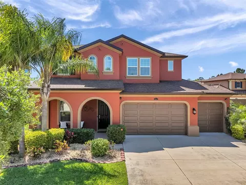 4043 Empoli Ct, Wesley Chapel, FL 33543