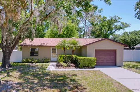 3818 Meridean Pl, Land O Lakes, FL 34639