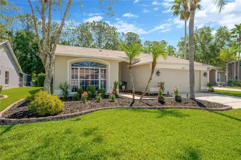 1623 Bayhill Dr, Oldsmar, FL 34677