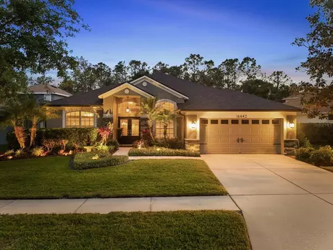 16442 Bridgewalk Dr, Lithia, FL 33547