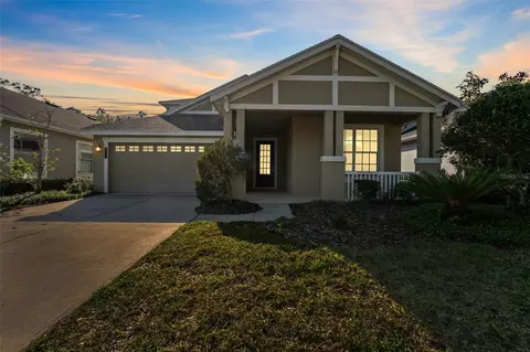 20146 Heritage Point Dr, Tampa, FL 33647