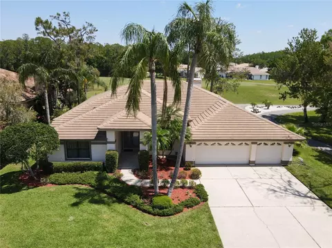 1311 Fallsmeade Ct, Oldsmar, FL 34677