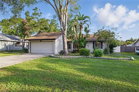 2224 Spanish Vistas Dr, Dunedin, FL 34698