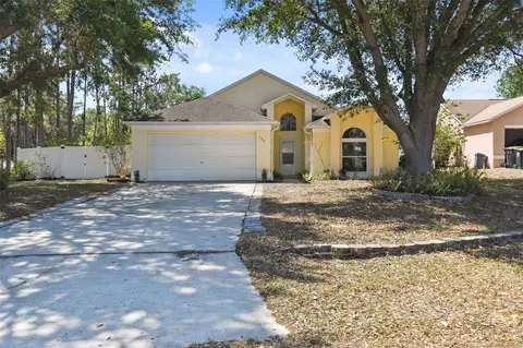 133 Grovepark Dr, Davenport, FL 33837