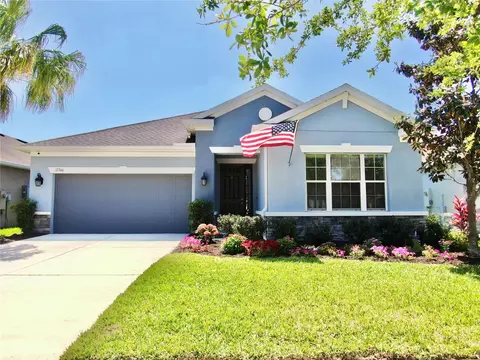 17740 Bright Wheat Dr, Lithia, FL 33547
