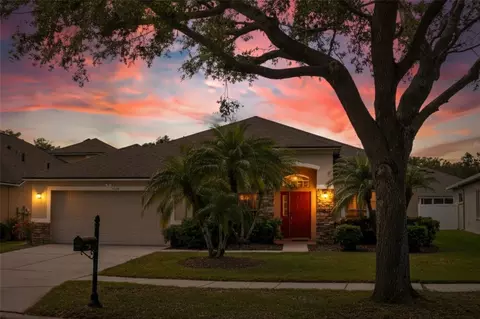 1418 Hurley Pond Ln, Valrico, FL 33596