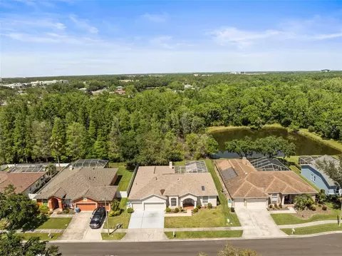 28451 Great Bend Pl, Wesley Chapel, FL 33543