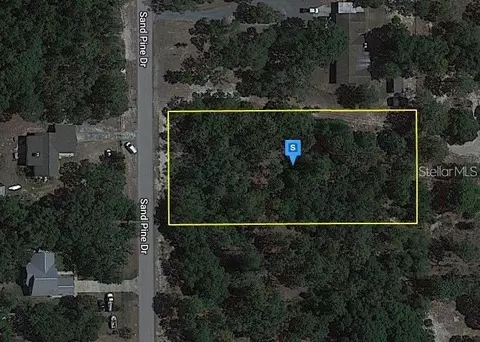 18212 Sand Pine Dr, Spring Hill, FL 34610