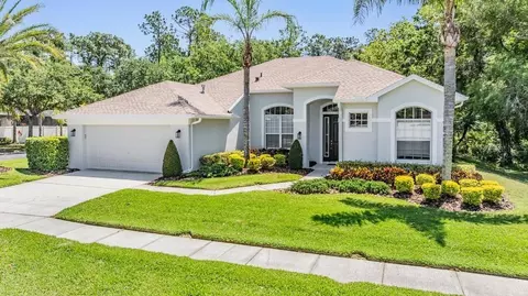 12802 Stanwyck Cir, Tampa, FL 33626