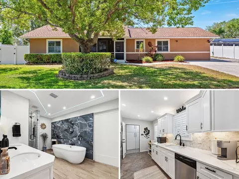 506 Spring Tree Ct, Tarpon Springs, FL 34689