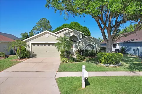 29737 Fog Hollow Dr, Wesley Chapel, FL 33543