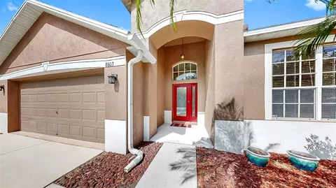 8603 Sandy Plains Dr, Riverview, FL 33578