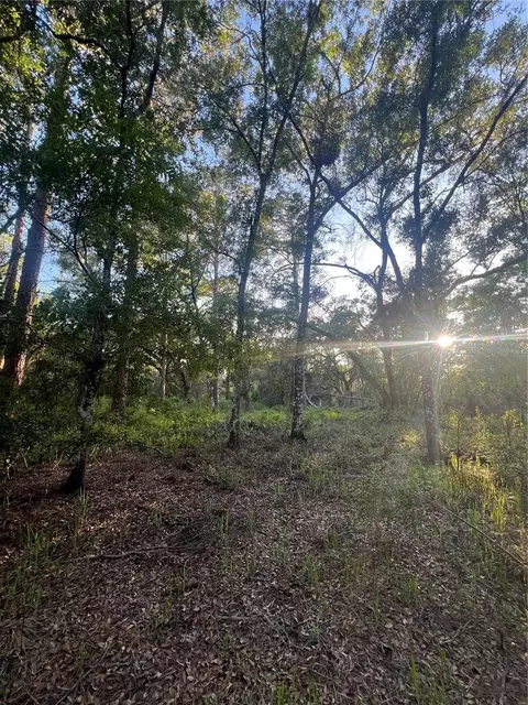 Pinon Drive, Webster, FL 33597